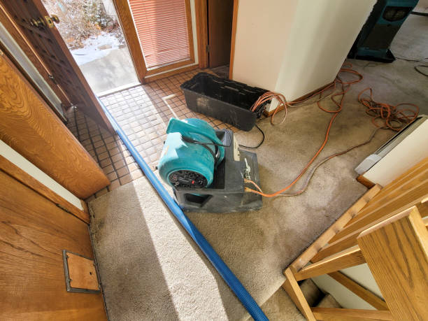 Best Flood damage cleanup  in West Rancho Dominguez, CA