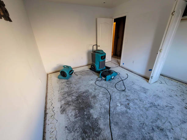 Best Residential water damage restoration  in West Rancho Dominguez, CA