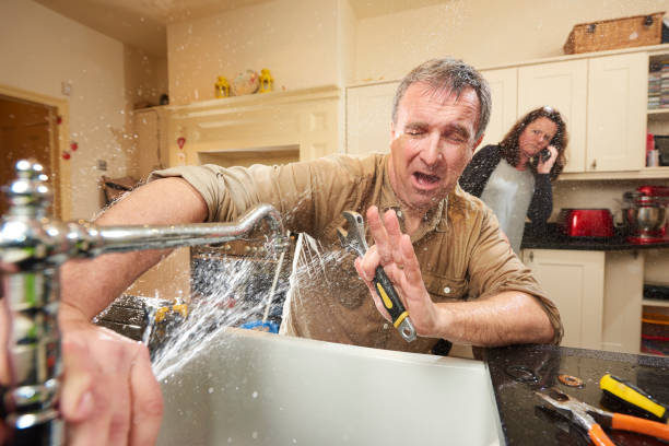 Best Flooded house restoration  in West Rancho Dominguez, CA